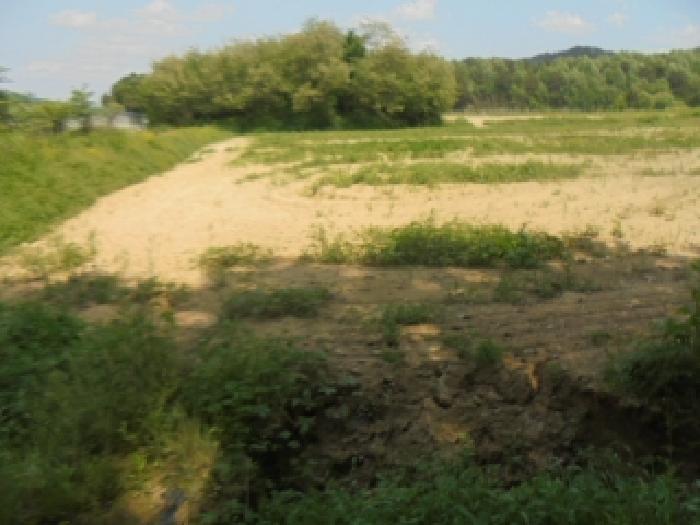 2025타경989 · 충청북도 충주시 주덕읍 대곡리 491-1