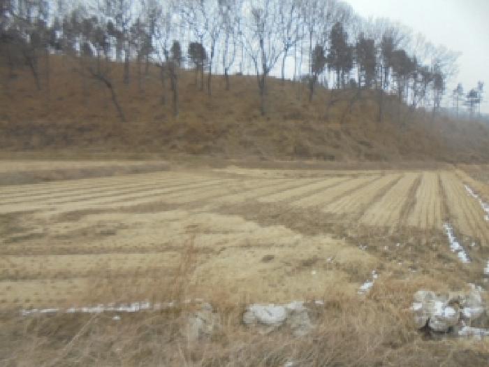 2026타경12 전답 · 충청북도 충주시 신니면 문락리 39