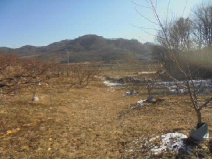 2026타경30023 · 충청북도 충주시 주덕읍 삼청리 925-7
