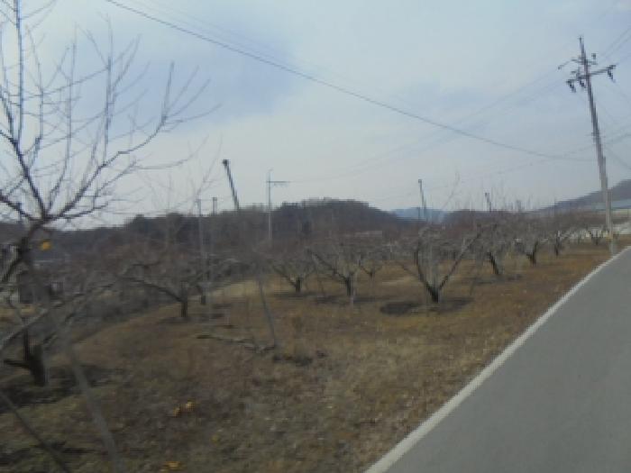 2026타경30069 · 충청북도 음성군 음성읍 신천리 574-1