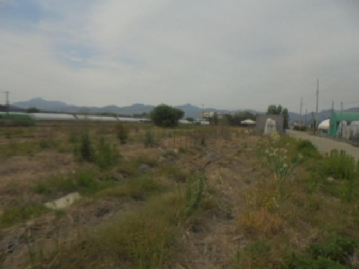 2026타경30235 · 충청북도 충주시 달천동 501-1