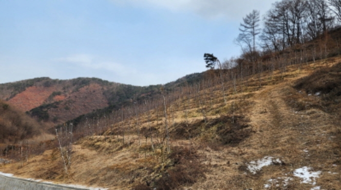 2024타경1841 전답 · 충청북도 제천시 청풍면