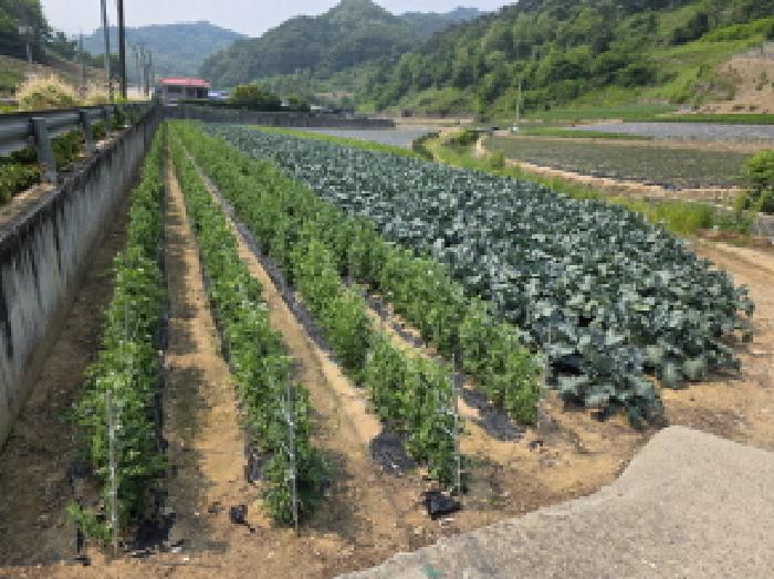 2025타경102 전답 · 충청북도 제천시 수산면