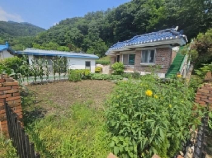 2025타경126 전답 · 충청북도 단양군 적성면