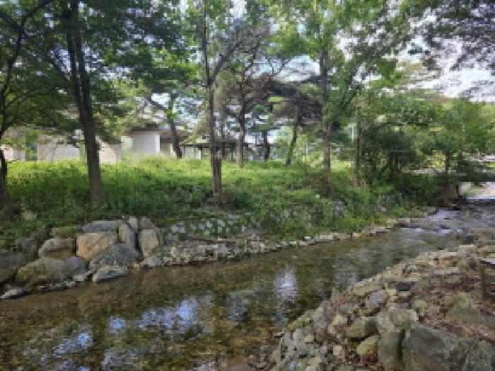 2025타경156 대지 · 충청북도 제천시 봉양읍