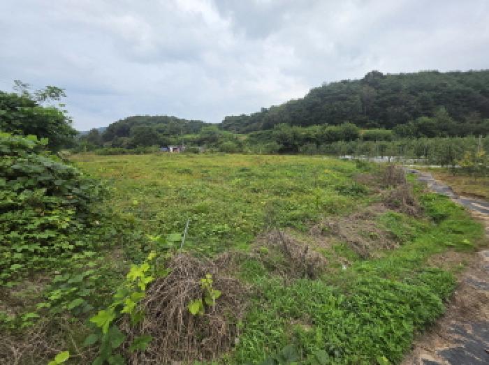 2025타경164 전답 · 충청북도 제천시 산곡동