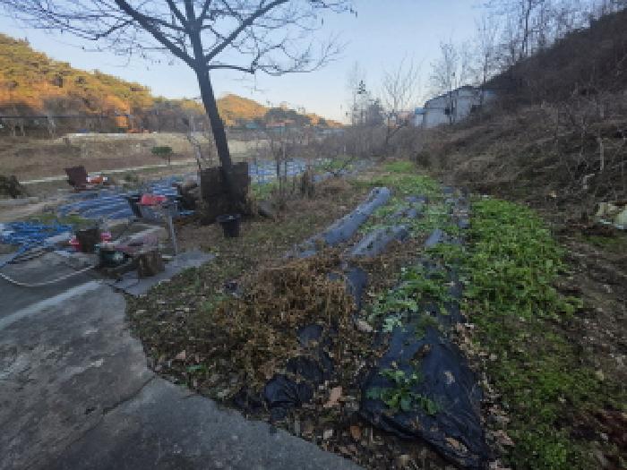 2025타경182 전답 · 충청북도 제천시 송학면