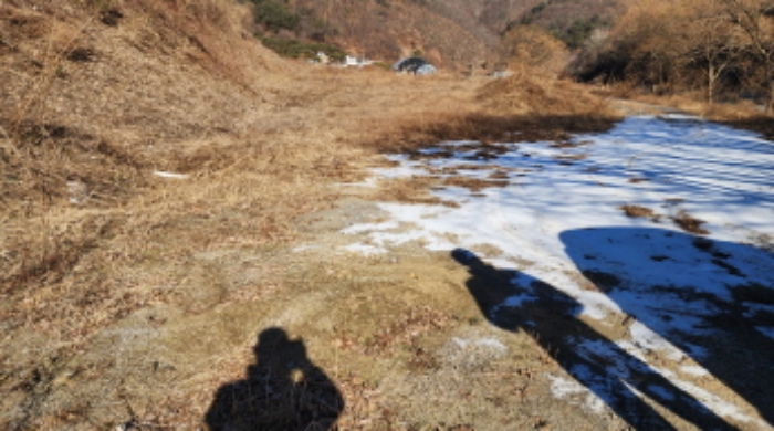 2025타경5062 · 충청북도 제천시 백운면 애련리 477