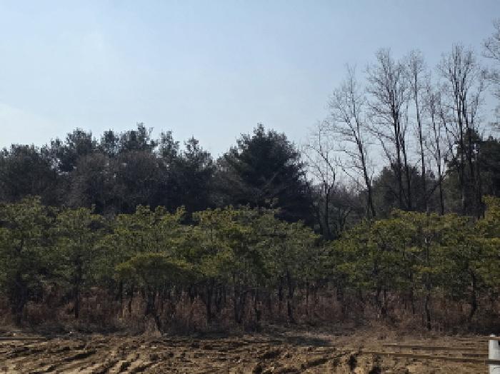2025타경5276 대지 · 충청북도 제천시 고암동 905