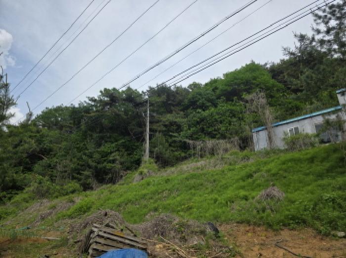 2025타경5314 · 충청북도 제천시 금성면