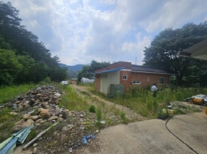 2025타경5334 · 충청북도 단양군 영춘면