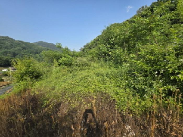 2025타경5340 전답 · 충청북도 제천시 청풍면