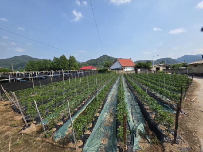 2025타경5342 전답 · 충청북도 제천시 백운면