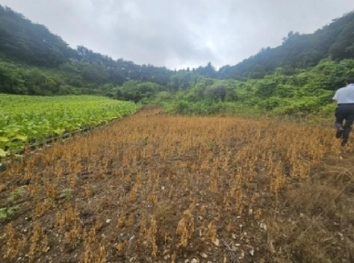 2025타경5358 전답 · 충청북도 단양군 영춘면