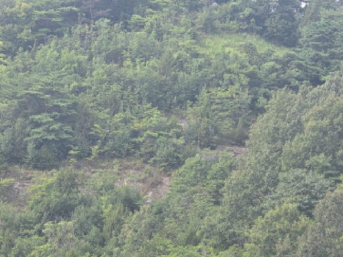 2025타경5398 · 충청북도 제천시 수산면