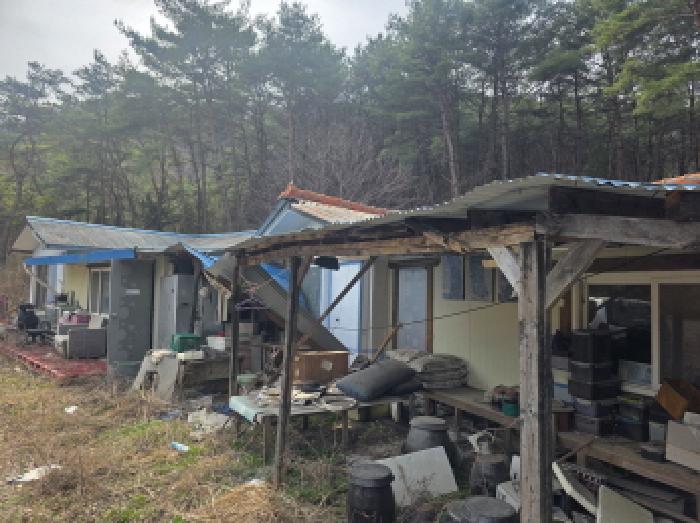 2025타경5452 임야 · 충청북도 제천시 송학면 장곡리 산52-3