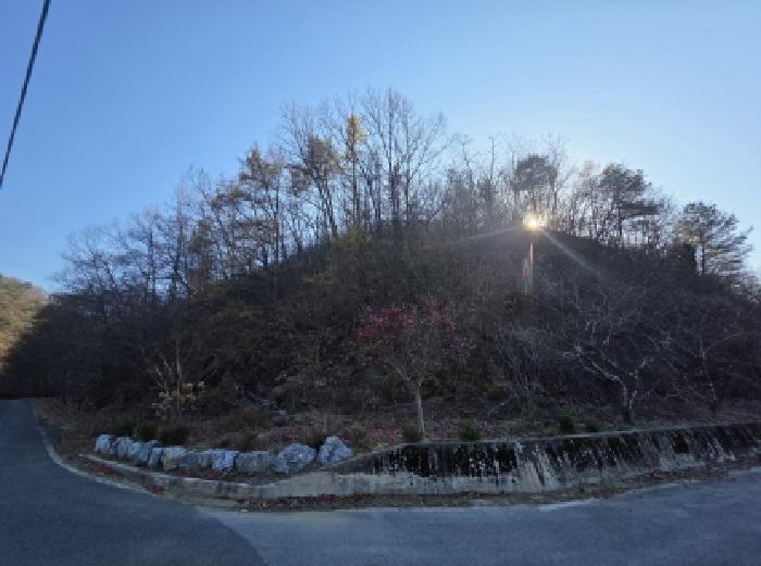 2025타경5464 임야 · 충청북도 제천시 수산면