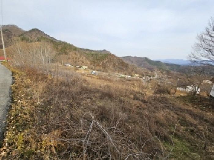 2025타경5476 · 충청북도 단양군 가곡면 사평리 584-2
