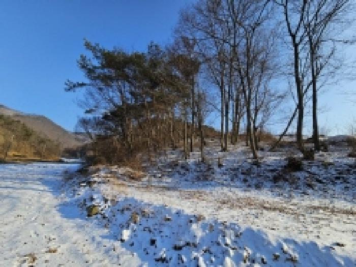 2026타경5010 임야 · 충청북도 단양군 어상천면 율곡리 310