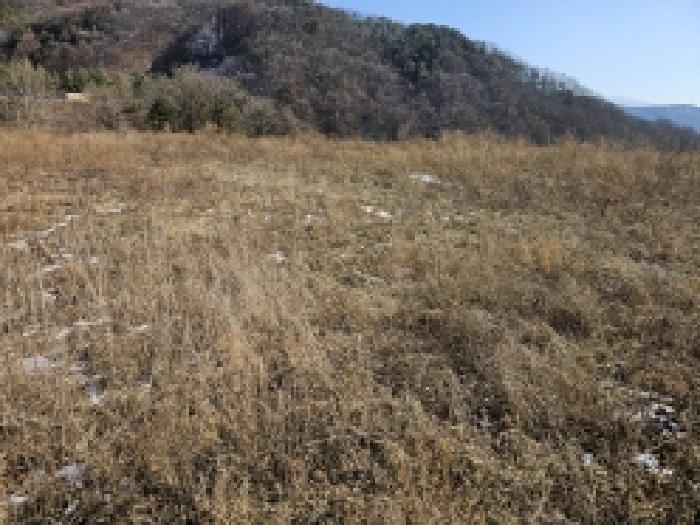 2026타경5012 임야 · 충청북도 단양군 적성면 상리 64-59