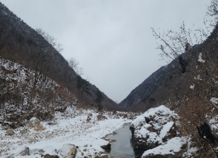 2024타경11636 전답 · 충청북도 옥천군 군서면