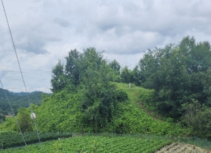 2024타경568 · 충청북도 영동군 용산면 구촌리 220-2