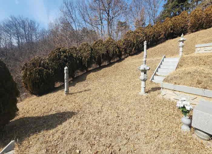 2025타경10104 임야 · 충청북도 옥천군 옥천읍