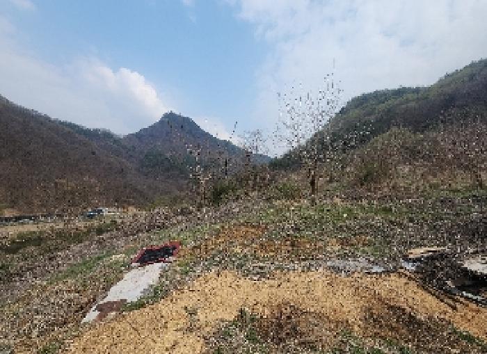 2025타경10117 토지 · 충청북도 영동군 용산면 한석리 540-2