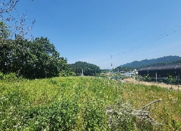 2025타경10146 · 충청북도 옥천군 동이면 금암리 1099-2