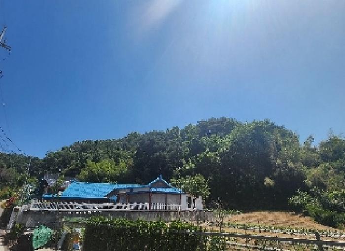 2025타경10147 임야 · 충청북도 옥천군 동이면