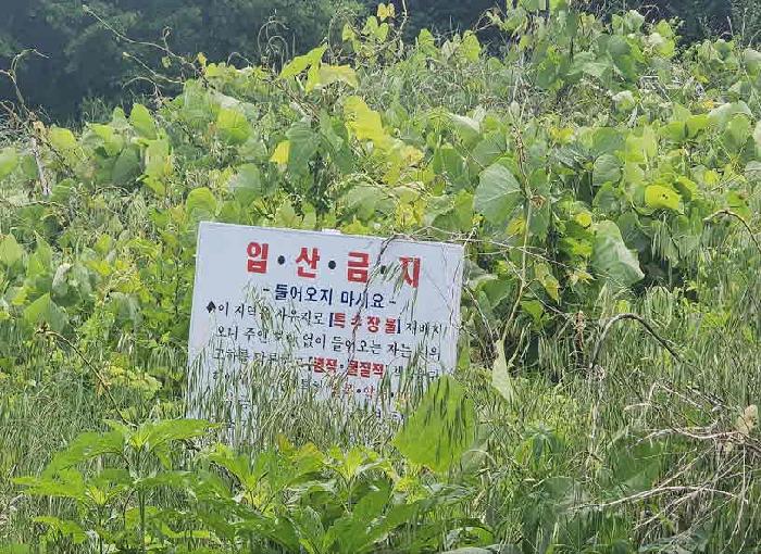 2025타경10153 · 충청북도 옥천군 군북면