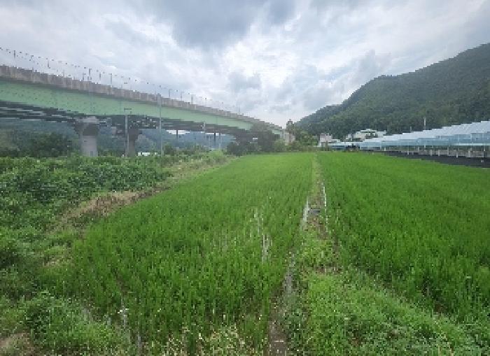 2025타경10164 전답 · 충청북도 영동군 추풍령면