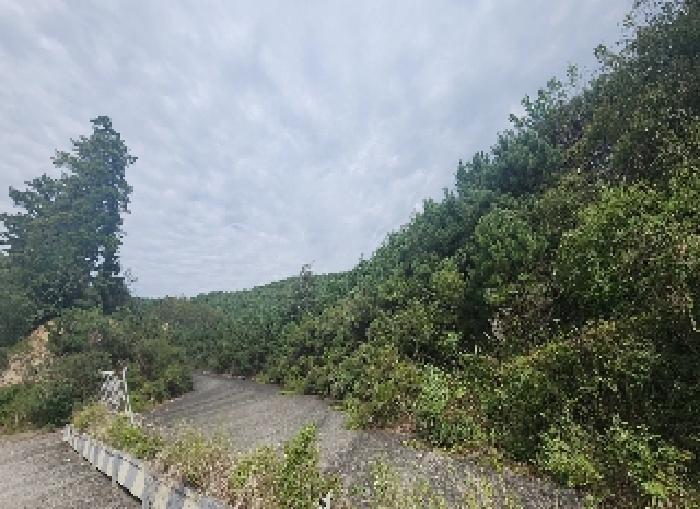 2025타경10208 · 충청북도 영동군 용산면