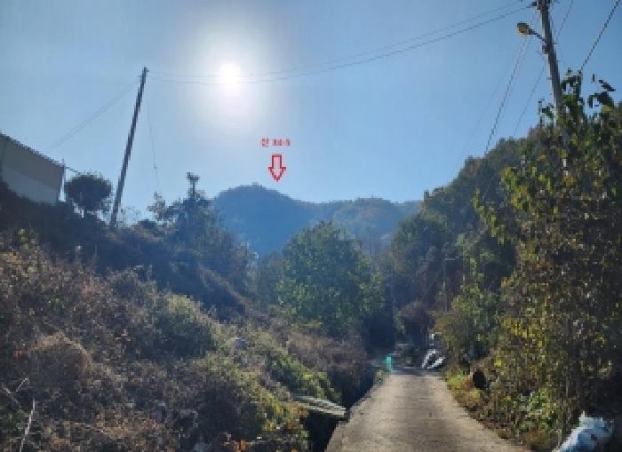 2025타경10230 임야 · 충청북도 옥천군 안내면 방하목리 산34-5