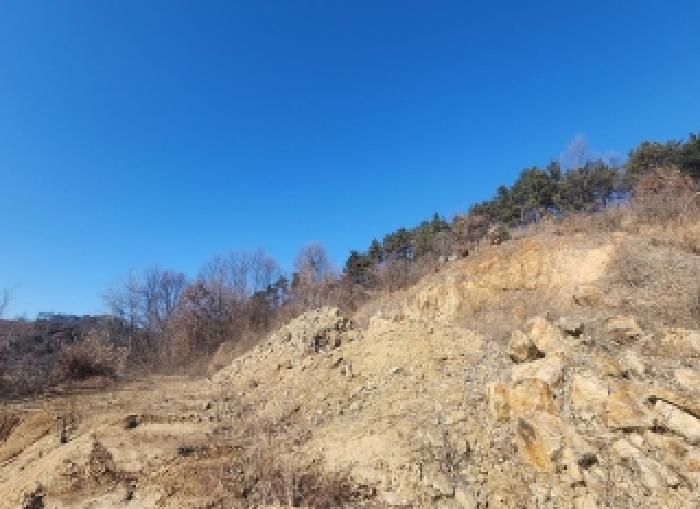 2025타경10253 임야 · 충청북도 옥천군 동이면 남곡리 산71