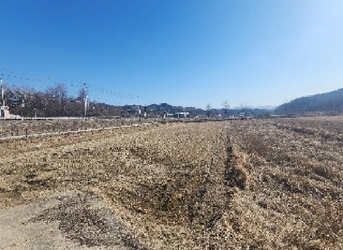 2025타경48 전답 · 충청북도 영동군 용산면