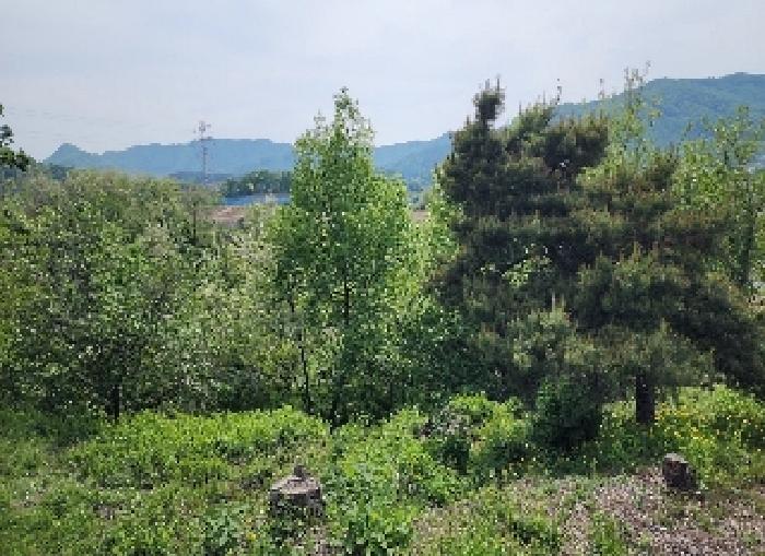 2025타경72 · 충청북도 옥천군 청성면 능월리 161-8