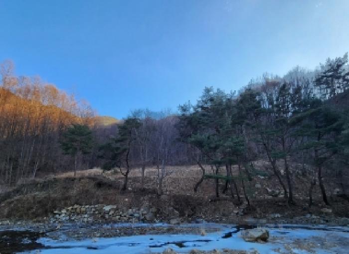 2026타경10005 전답 · 충청북도 영동군 용화면 안정리 450-2