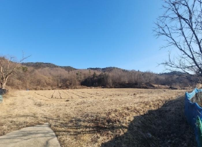 2026타경10012 전답 · 충청북도 영동군 용산면