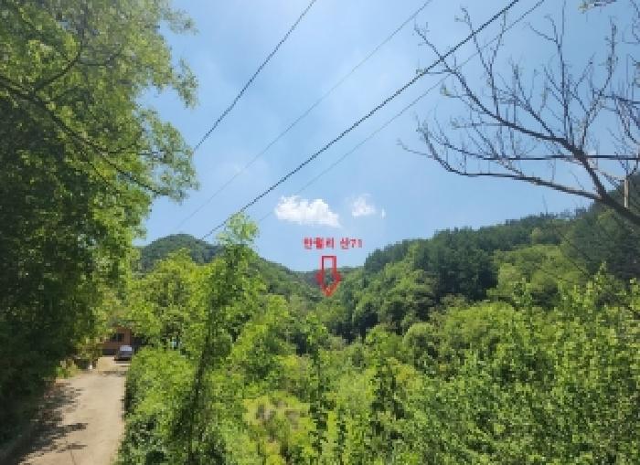 2026타경10063 임야 · 충청북도 옥천군 청산면 만월리 산71