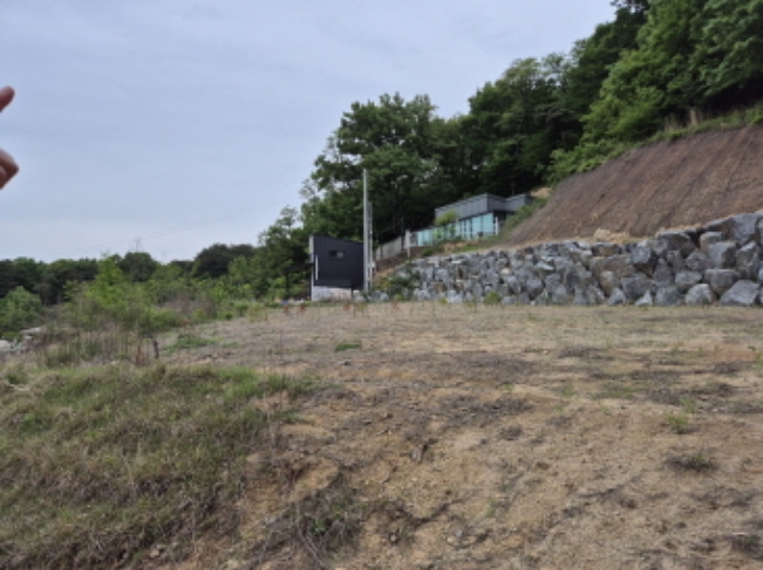 2024타경107801 임야 · 세종특별자치시 장군면 봉안리 246-7