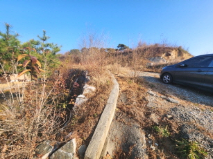 2024타경122343 임야 · 세종특별자치시 장군면 봉안리 295-5
