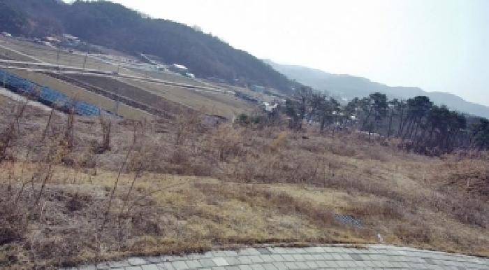 2025타경1337 대지 · 세종특별자치시 장군면