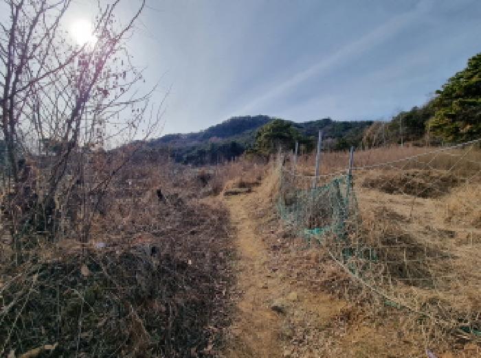 2025타경4035 임야 · 대전광역시 중구 석교동