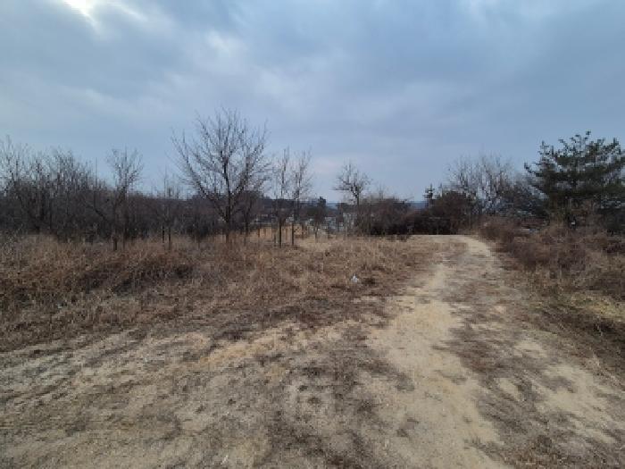 2025타경4089 대지 · 세종특별자치시 연동면