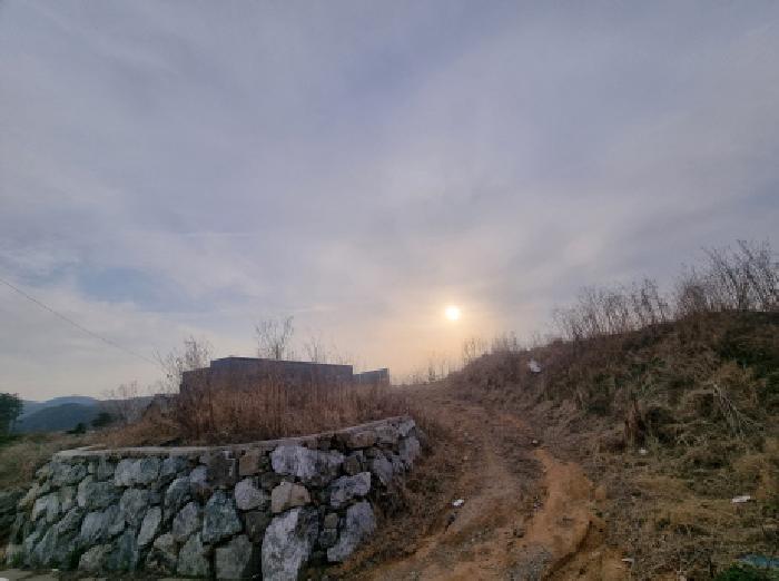 2025타경502198 대지 · 세종특별자치시 장군면