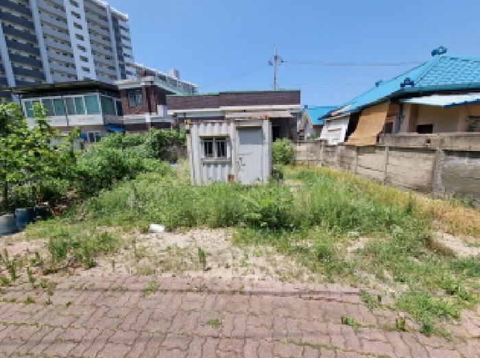 2025타경502855 대지 · 대전광역시 중구 태평동