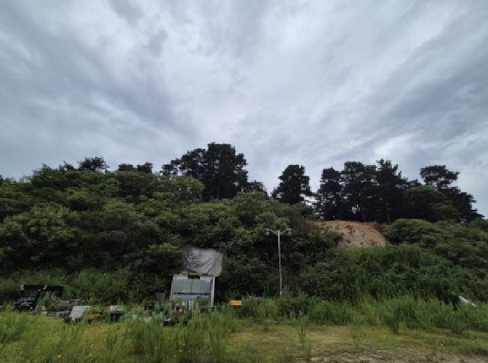 2025타경502893 대지 · 대전광역시 유성구 하기동