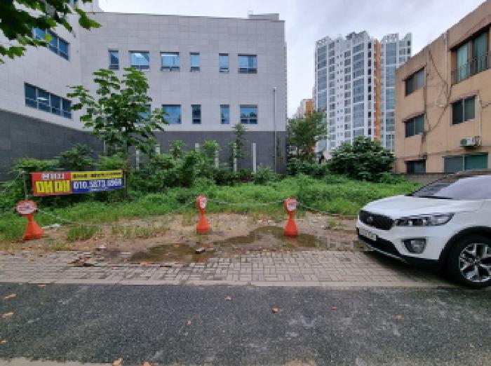 2025타경503177 대지 · 대전광역시 중구 대흥동