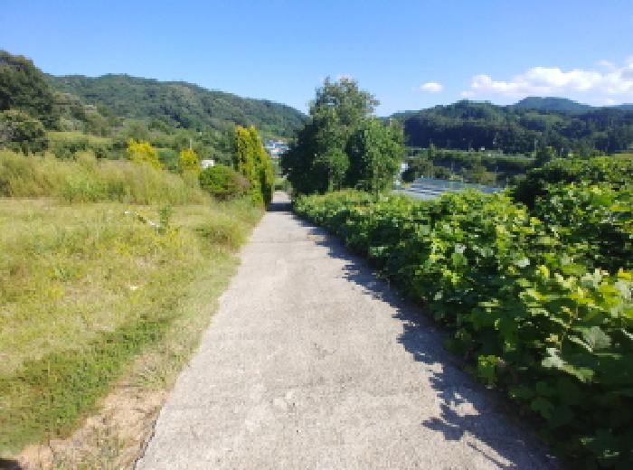 2025타경503233 대지 · 충청남도 금산군 금성면